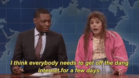 An SNL sketch GIF where a woman says “I think everybody needs to get off the dang internet for a few days”