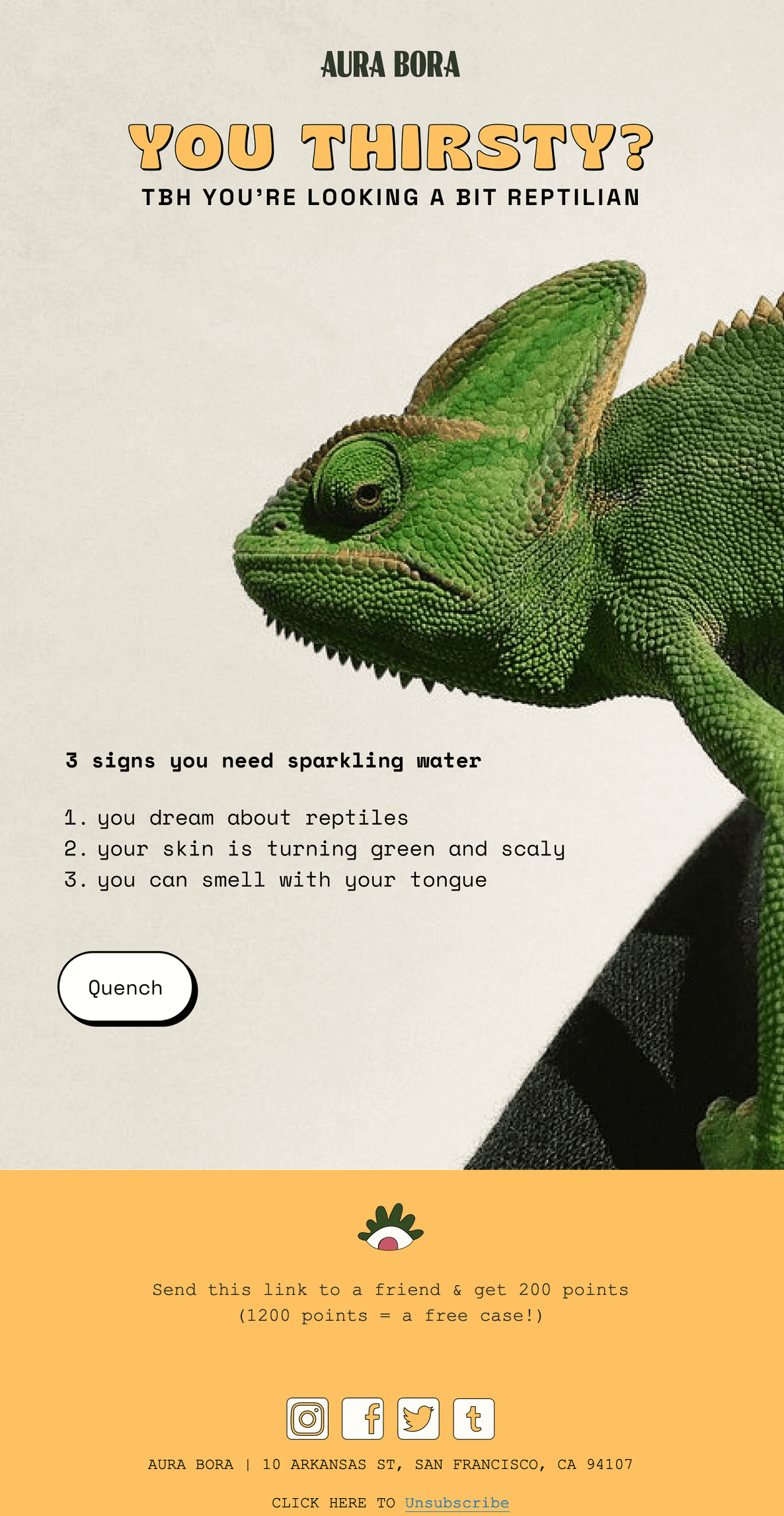 An email with a big photo of a chameleon and 3 signs that the reader needs sparkling water