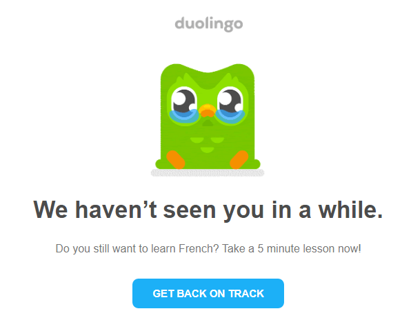 Retention email from Duolingo with the crying green owl