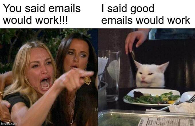 Woman yelling at cat meme: “You said emails would work!!!” - “I said good emails would work”