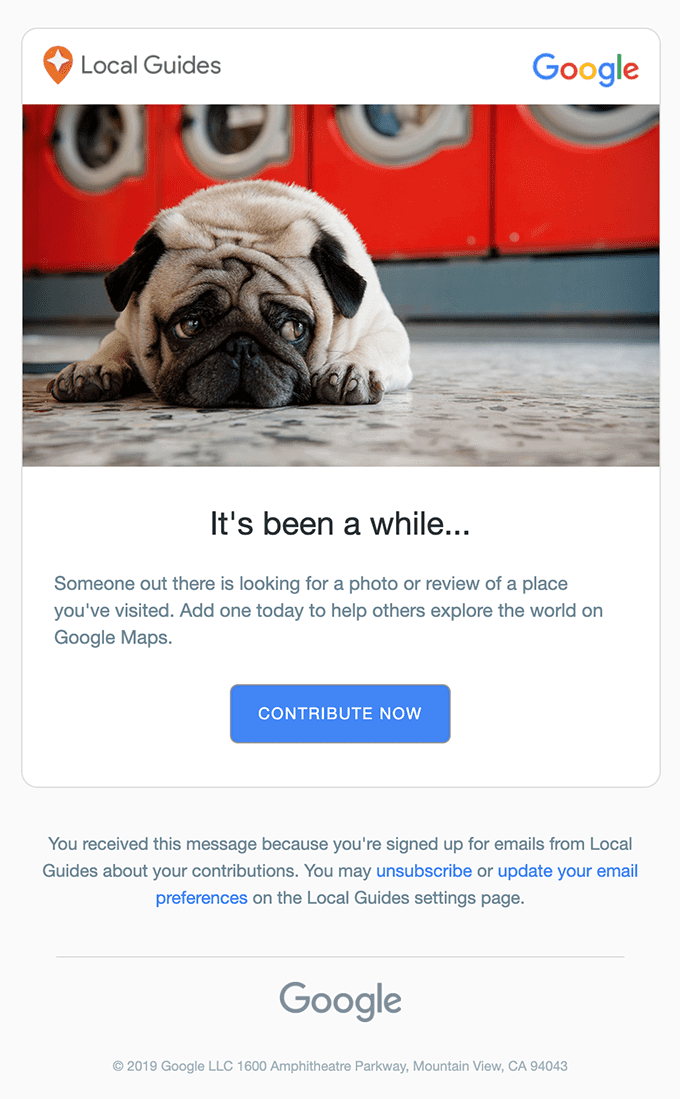 A reminder email for a person who didn’t post any reviews for some time. There’s a picture of a sad puppy in it.
