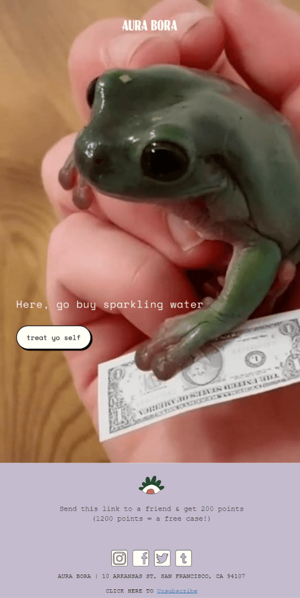 A sales email from Aura Bora that features a picture of a frog holding a banknote, a very short copy, and a button with the “treat yo self” CTA