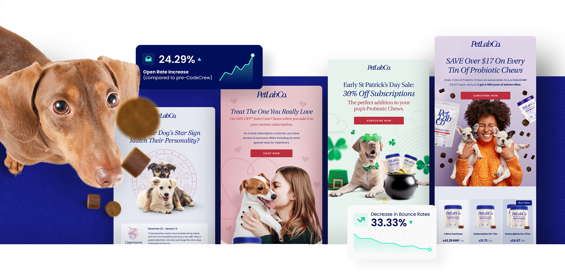 Examples of marketing newsletters of PetLab.co