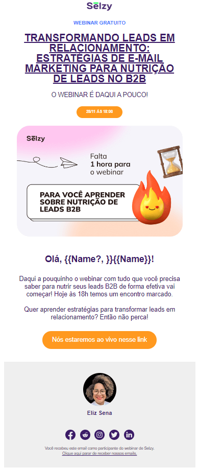 An email (webinar announcement) from Selzy in Portuguese