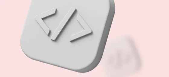 Developer-Friendly Integrationt