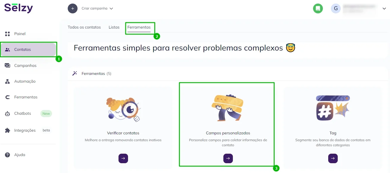 Como acessar os campos personalizados. 