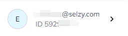 Click Upgrade to select a plan or top up your Selzy account balance 