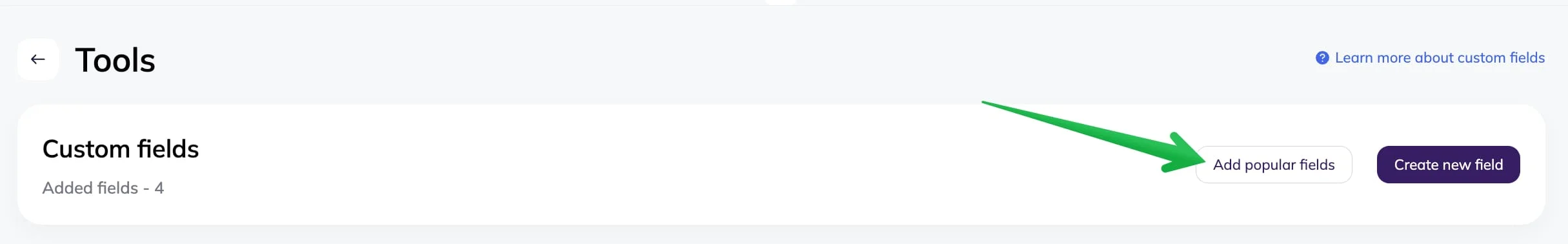 Button for adding popular custom fields 