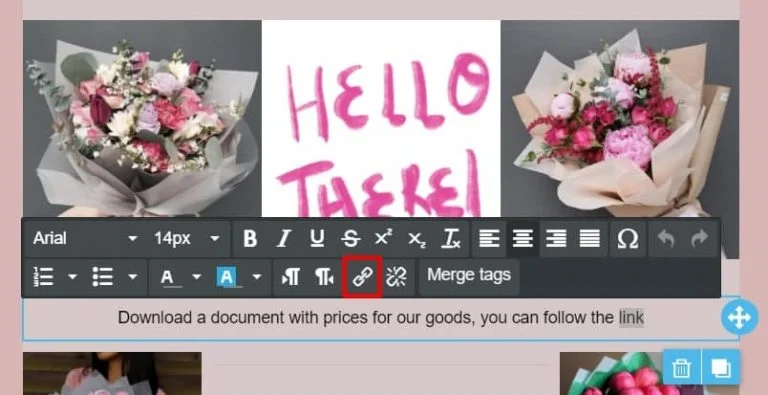 Insert / edit link icon