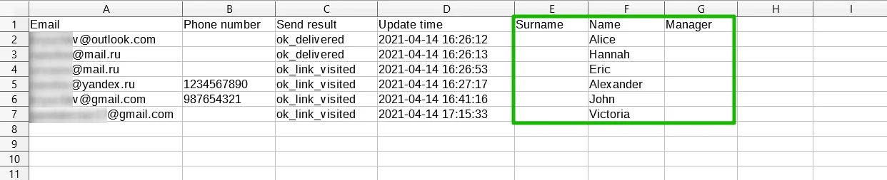 The columns with additional information in the delivery report in the CSV format.