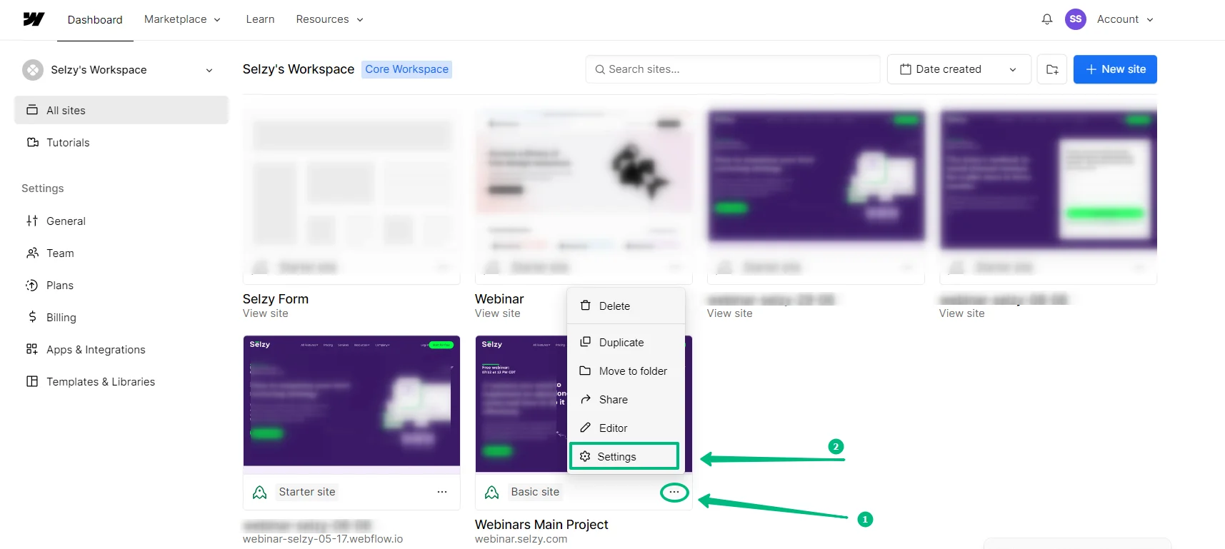 How to connect Selzy with Webflow
