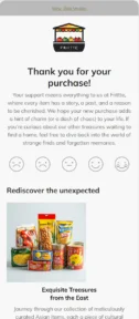 Frittte email template for mobile