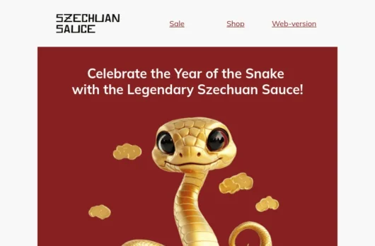 Szechuan Sauce email template for desktop