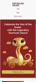 Szechuan Sauce email template for mobile