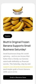 Small business email template for mobile