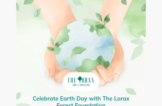 Lorax email template for desktop