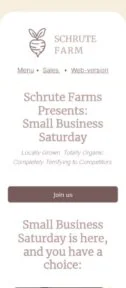 Small Business Saturday email template for mobile