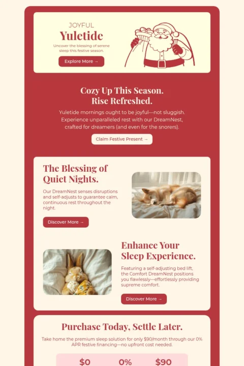 Holiday email template