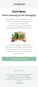 EverBloom email template for mobile