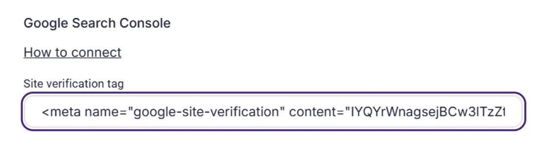 Google Search Console site verification meta tag in Selzy settings 