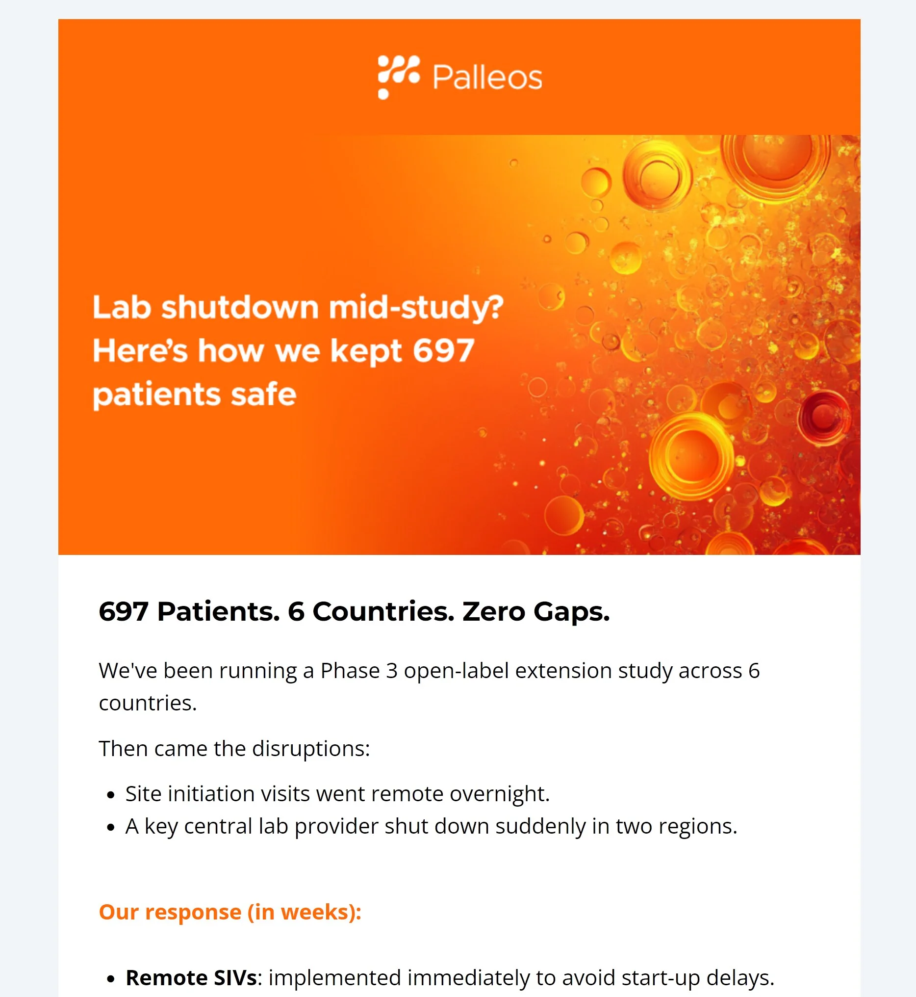 Palleos email campaign created and sent with Selzy
