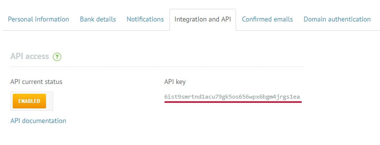 The API key shown in full.