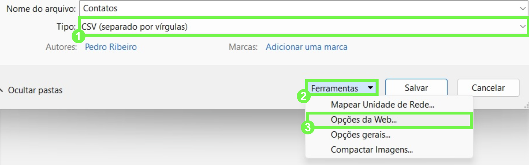 Janela “Salvar como” do Excel, com o tipo de arquivo CSV selecionado, clicando em Ferramentas > Opções da Web.