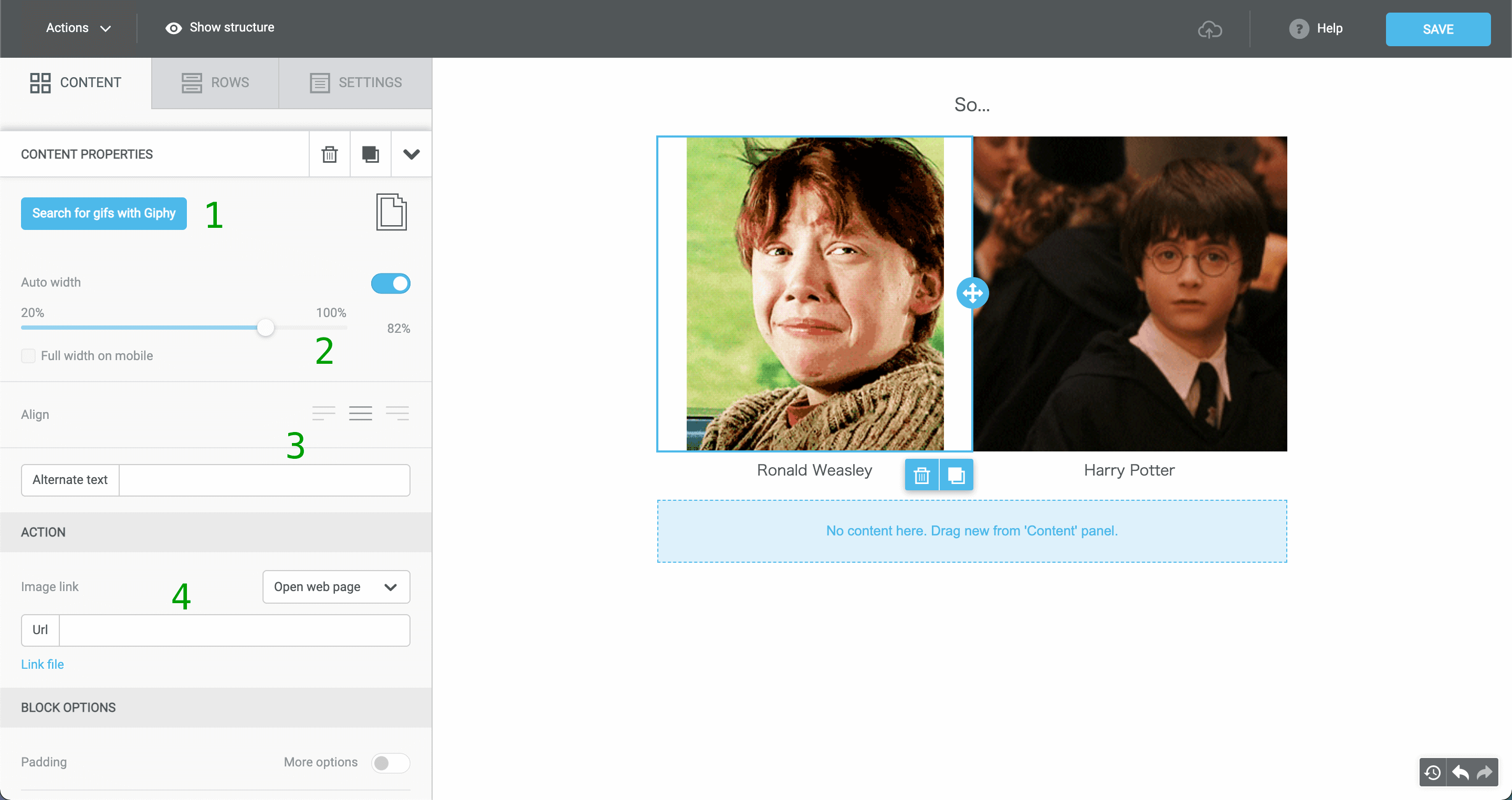 Embedding a Gif Image in the Selzy Builder