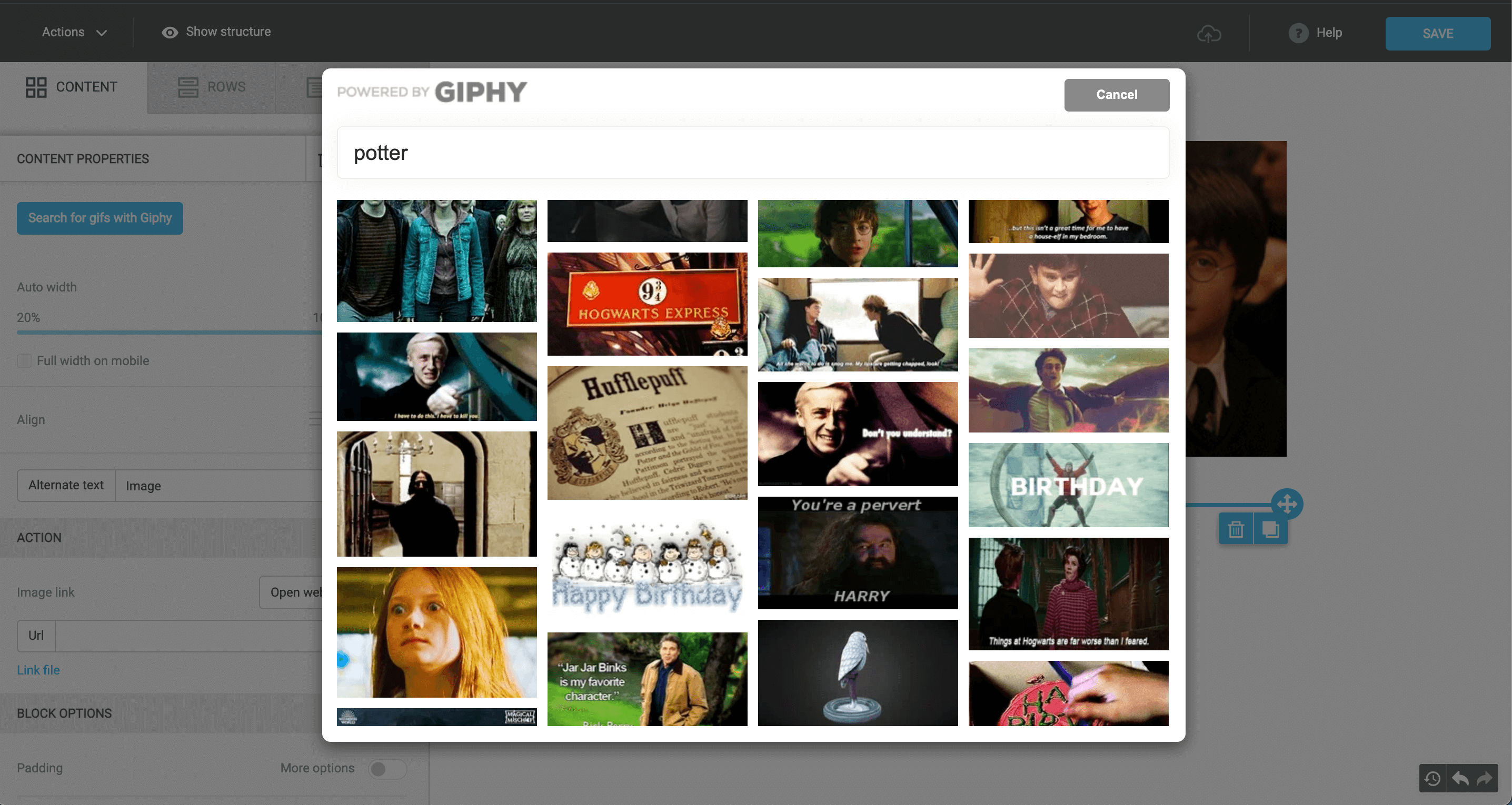 Embedding a Gif Image in the Selzy Builder