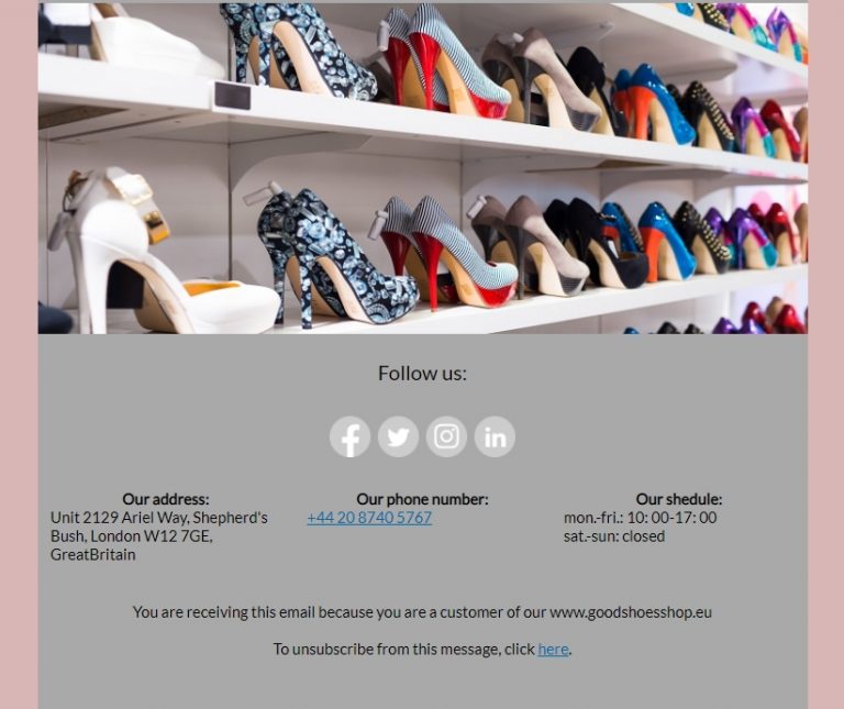 An email with detailed information about the company