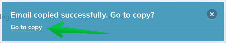 The link opening the copy that you’ll see after clicking the Create a Copy button.