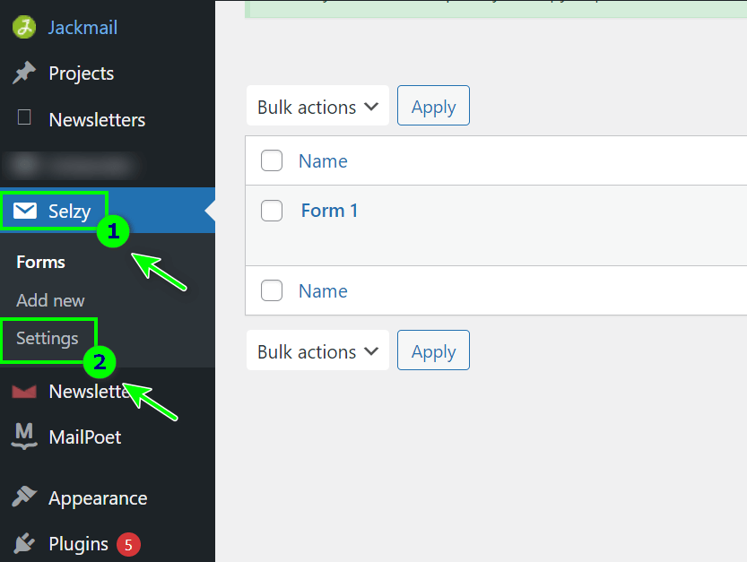 Pasting the API key 