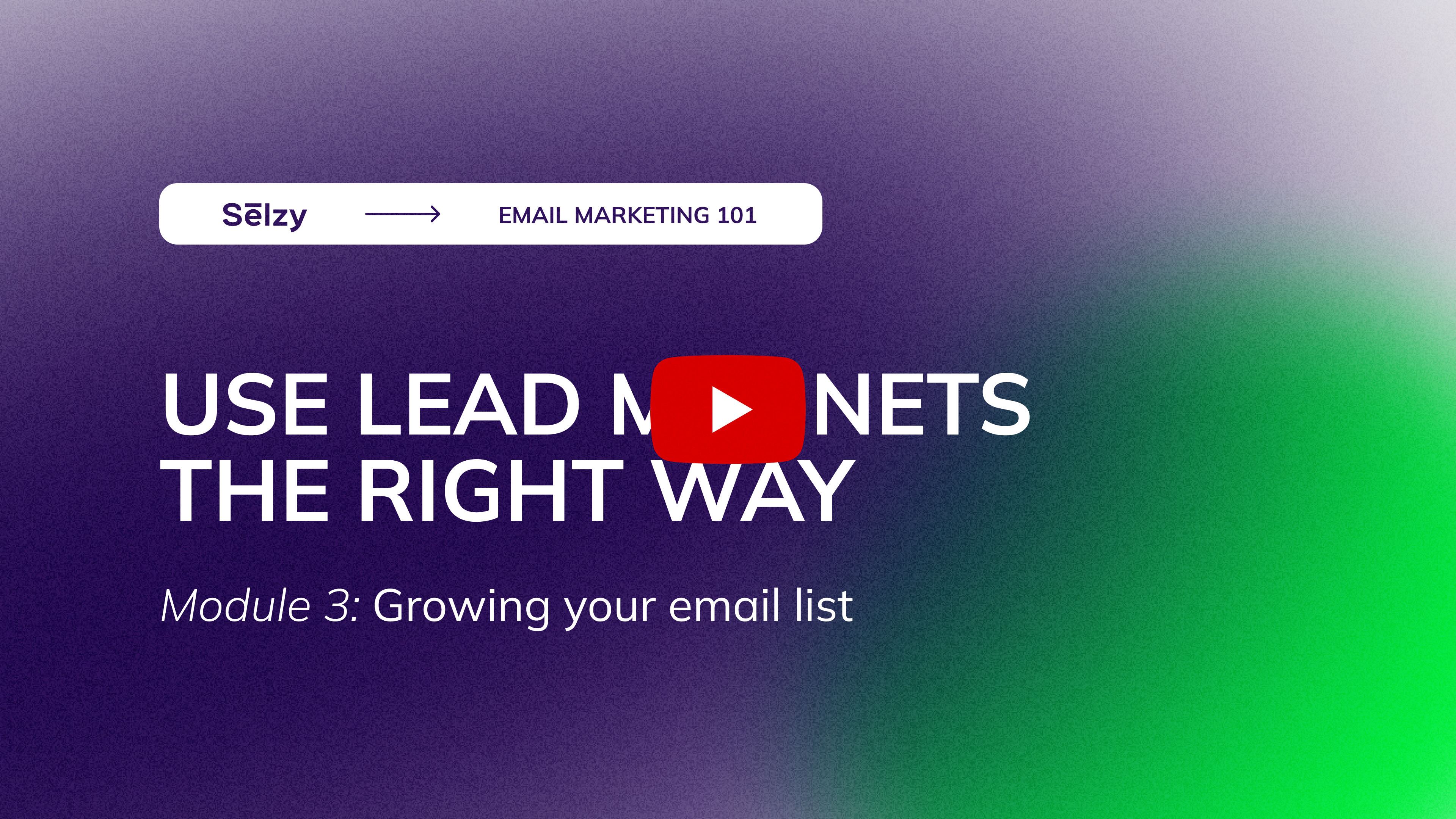 Lesson 9: Lead Magnets: Greatest Booster for Your Lead Generation Forms
