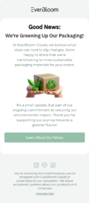 EverBloom email template for mobile